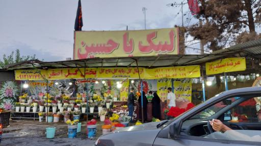 عکس پخش گل اصغر