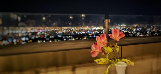 عکس هتل بزرگ شیراز