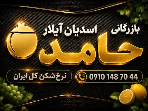عکس حق العمل کاری حامد اسدیان ایلار