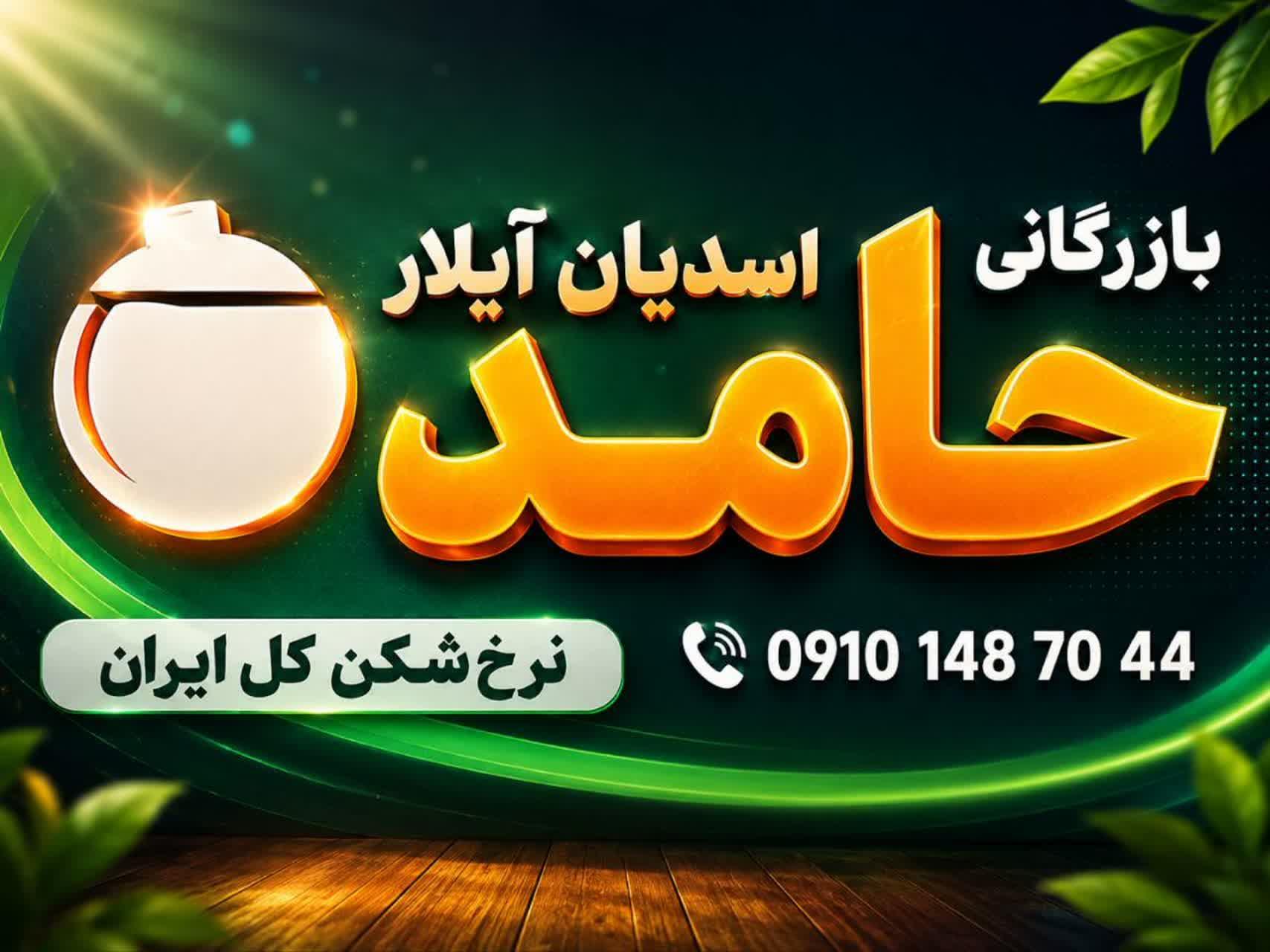 عکس حق العمل کاری حامد اسدیان ایلار