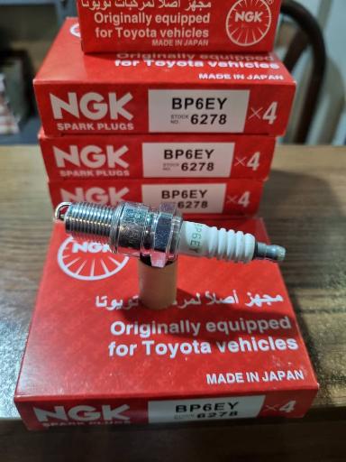 عکس یدکی دهقانی 