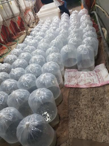 عکس آبزی گستر البرز شعبه ۲