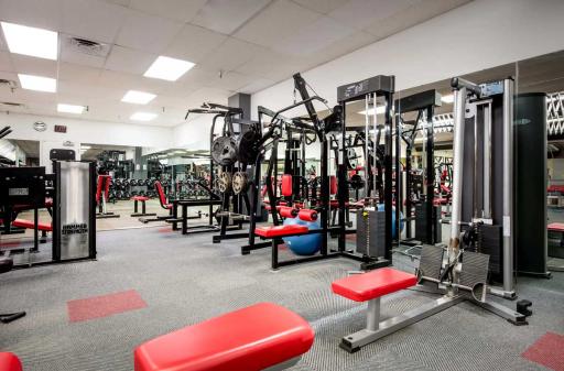 عکس باشگاه بدنسازی نیلوفر بازدار