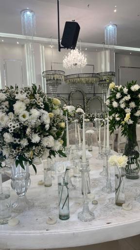 عکس باغ عمارت ملورین پالاس