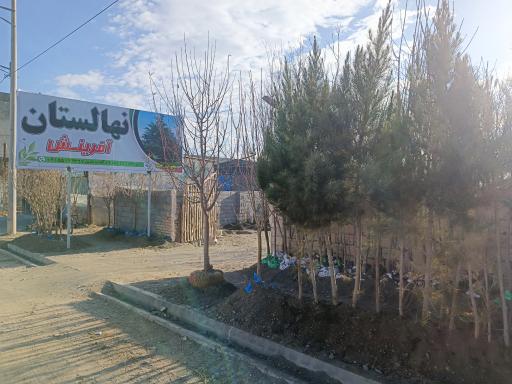 عکس نهالستان آفرینش 