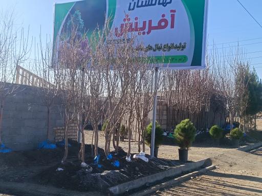 عکس نهالستان آفرینش 