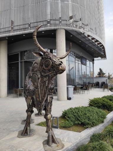 عکس ساعدی نیا