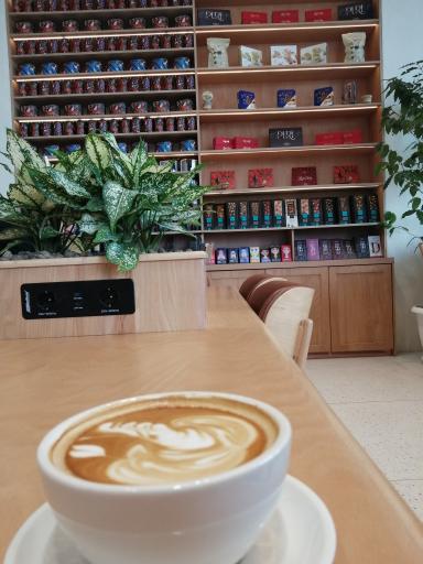 عکس ساعدی نیا