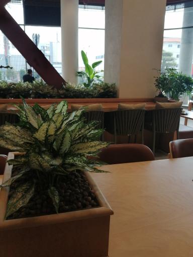 عکس ساعدی نیا