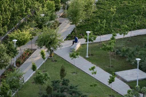 عکس بوستان ارکیده