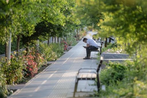 عکس بوستان ارکیده