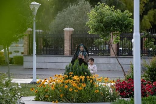 عکس بوستان ارکیده