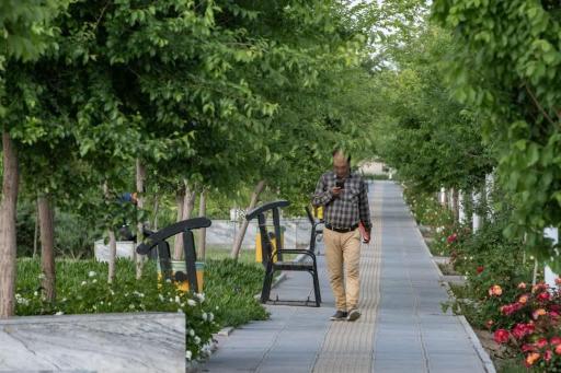 عکس بوستان ارکیده