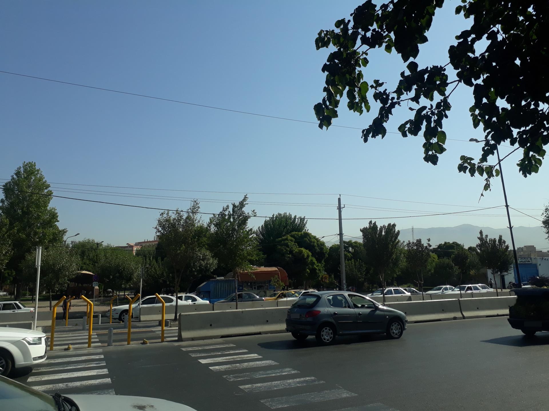 عکس بوستان نرگس