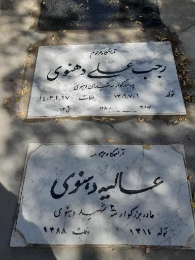عکس مزار حاجیه خانم عالیه دهنوی 