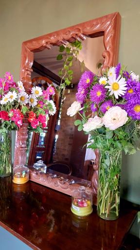 کافه باغ پنجم