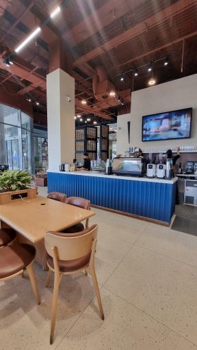 عکس ساعدی نیا