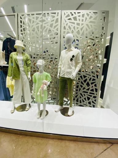 عکس جین وست