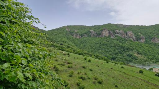عکس حیران وسطی