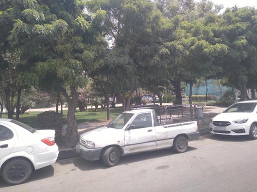 بوستان نرگس