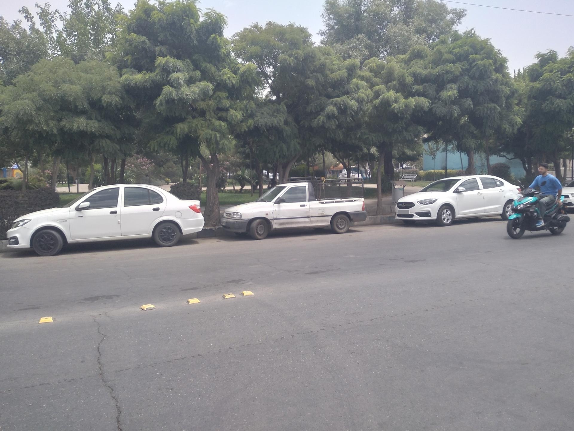 عکس بوستان نرگس