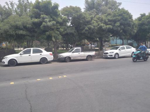 عکس بوستان نرگس