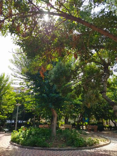 عکس بوستان فتح المبین