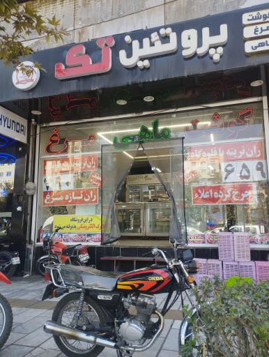 عکس پروتئین تک