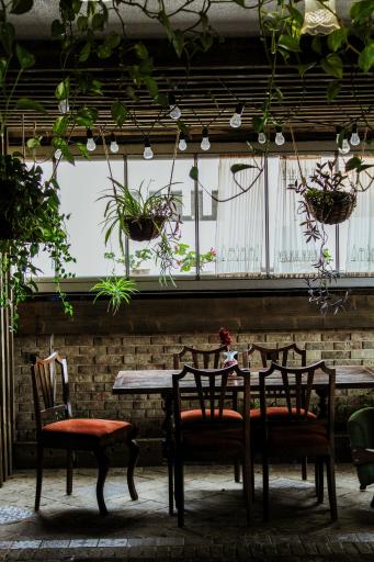 کافه باغ پنجم