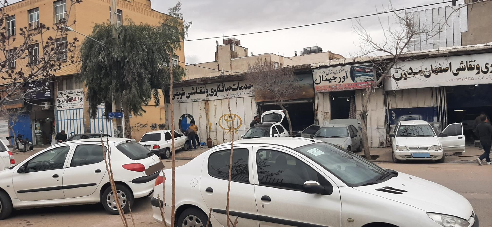 عکس صافکاری شریفی