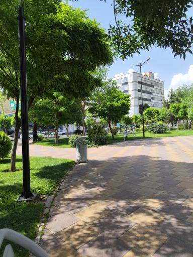 عکس بوستان نرگس