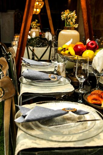 عکس باغ مجالس ساحل