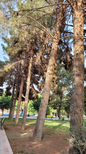 عکس پارک ۱۵ خرداد