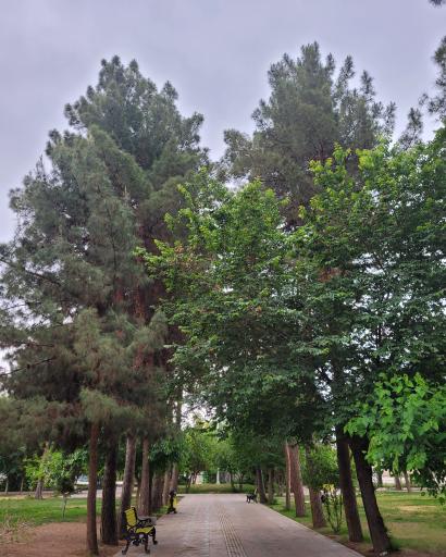 عکس پارک ۱۵ خرداد