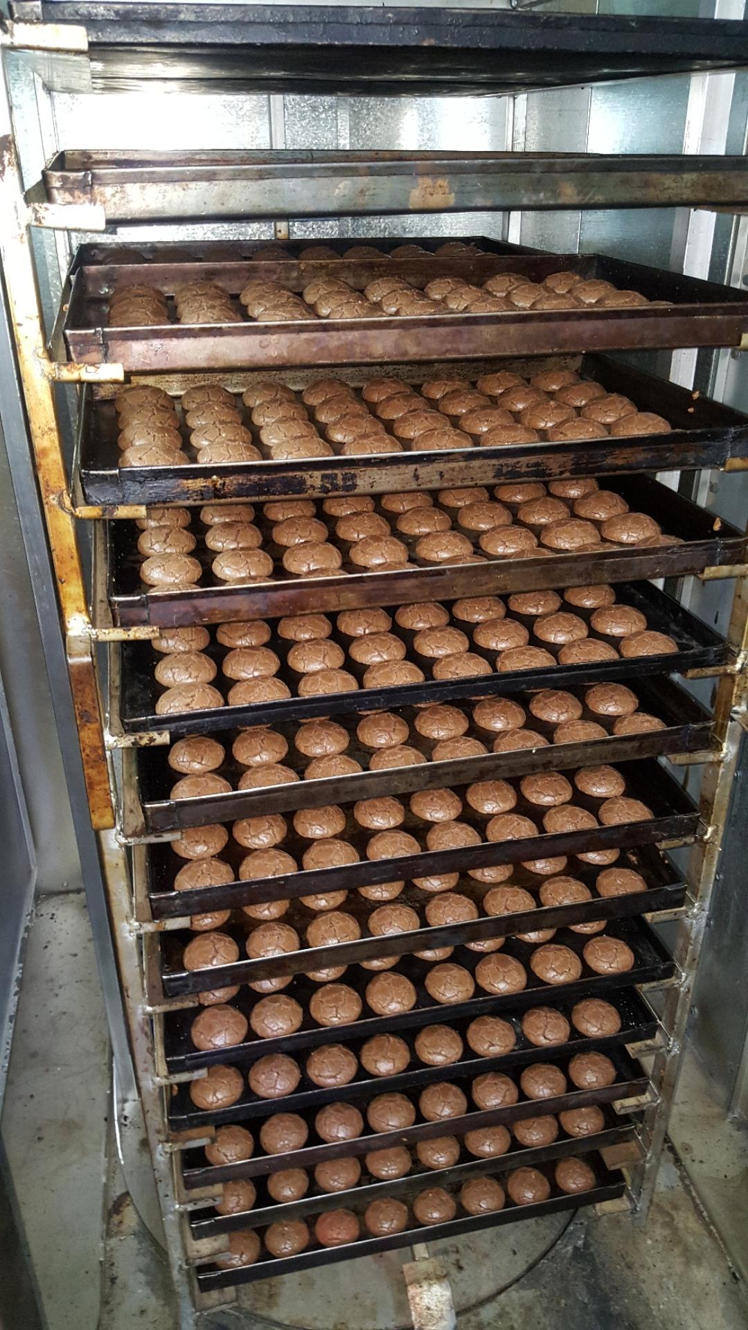 عکس کیک پزی شاهرودی