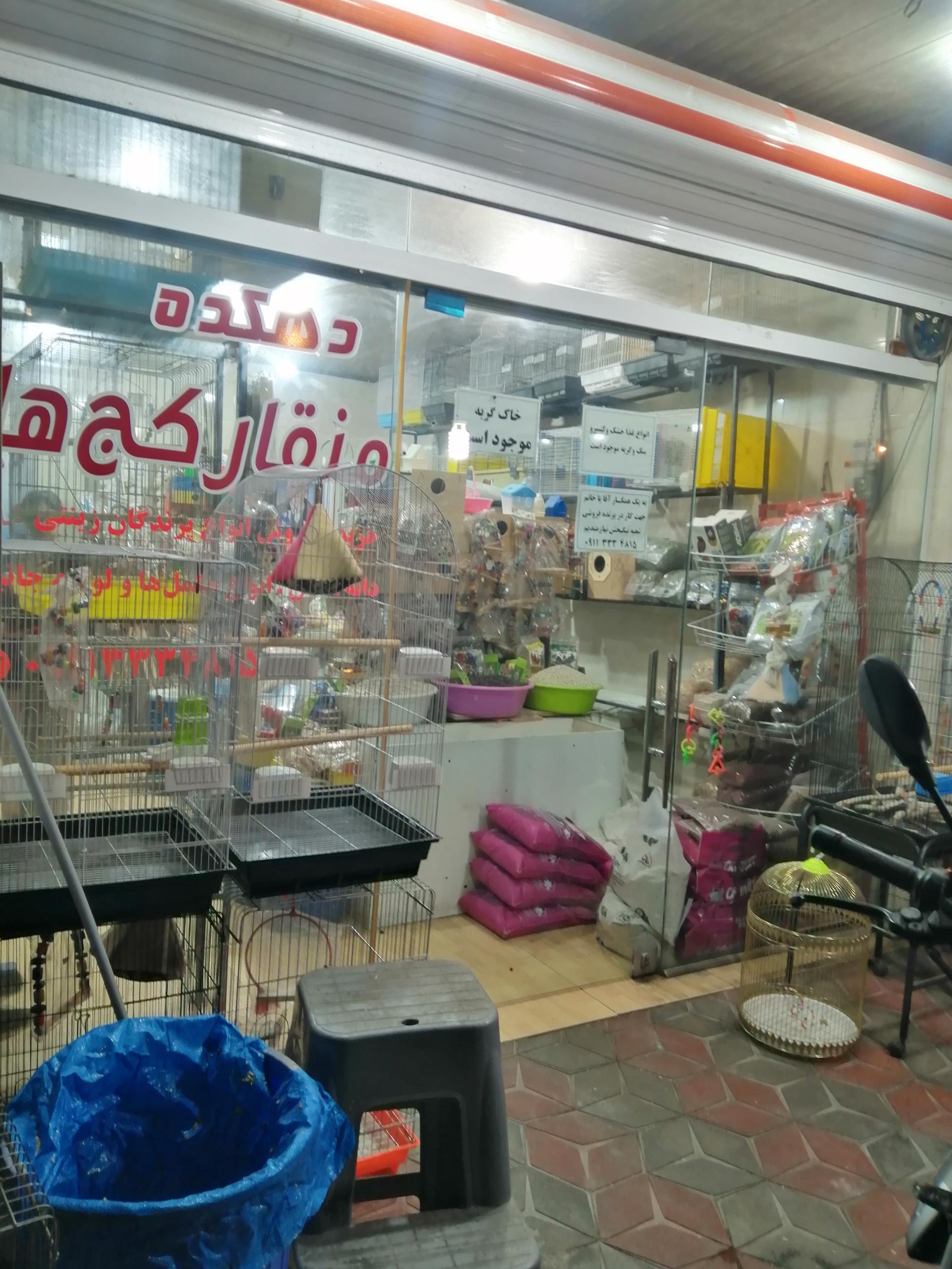 عکس پرنده فروشی منقارکج ها شعبه 2