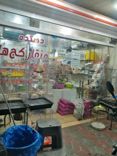 عکس پرنده فروشی منقارکج ها شعبه 2