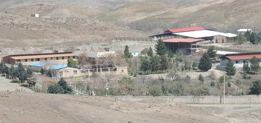 عکس سوارکاری مهراسب (معینی )