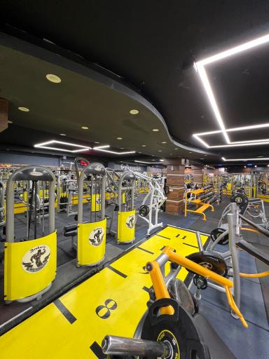 عکس باشگاه آرشاوین