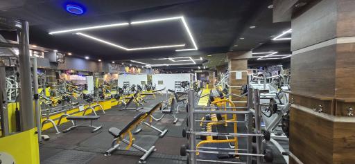 عکس باشگاه آرشاوین