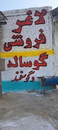 عکس لاغرفروشی برادران فرهادی