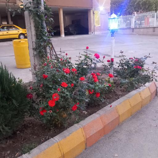 عکس مجتمع امید
