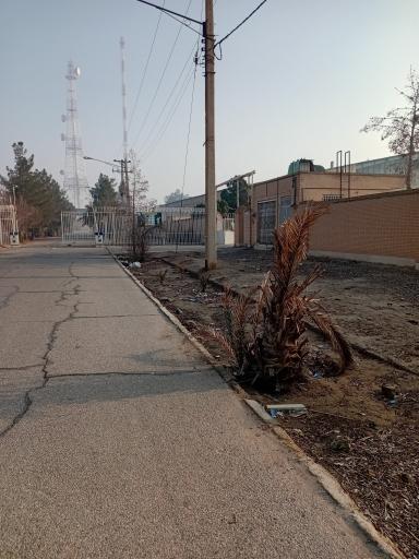 باشگاه فرهنگی ورزشی طلوع مهر یزد