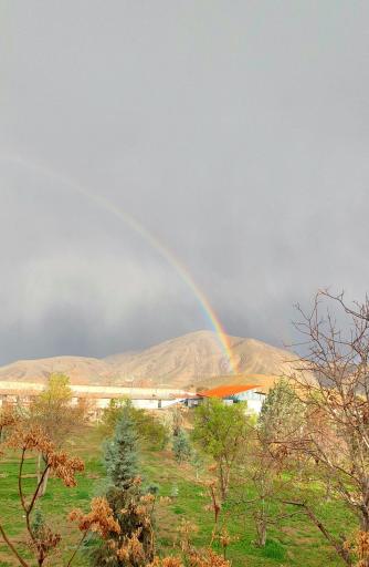 عکس سوارکاری مهراسب (معینی )