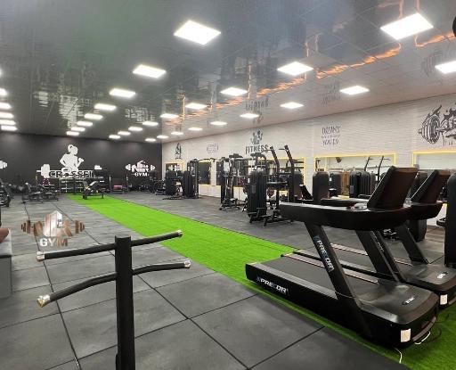 عکس باشگاه نیک 