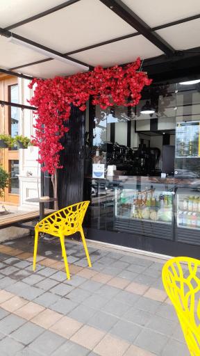 عکس علی کافی