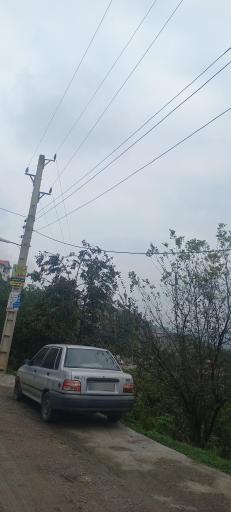 عکس بهمنان