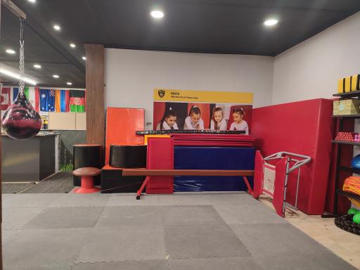 عکس باشگاه مایا