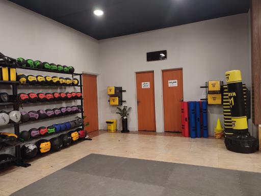 عکس باشگاه مایا