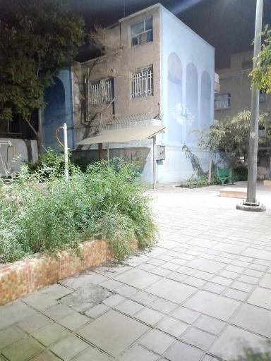 عکس پاتوق محله علمشاهی